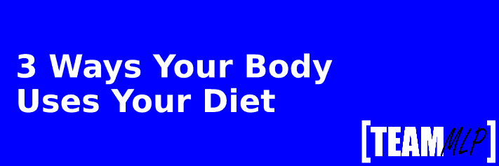 3 Ways Your Body Uses Your Diet